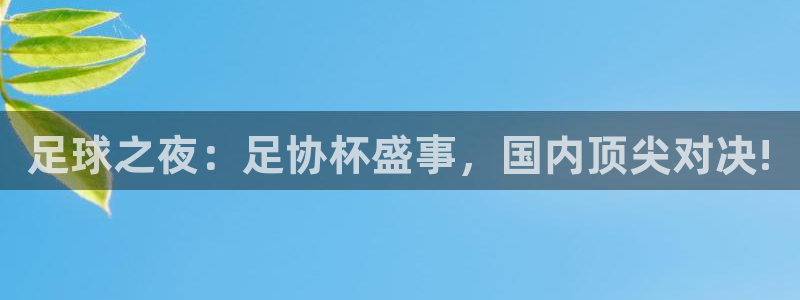 足球之夜：足协杯盛事，国内顶尖对决!