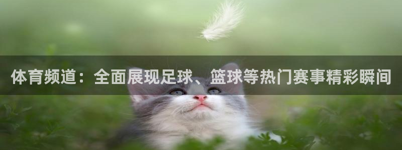 体育频道：全面展现足球、篮球等热门赛事精彩瞬间