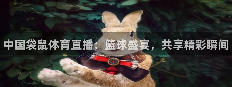 中国袋鼠体育直播：篮球盛宴，共享精彩瞬间